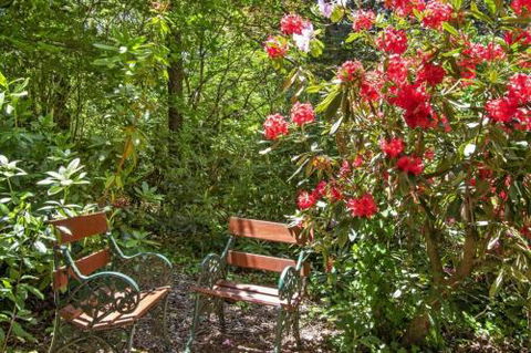 Jalscene - Accommodation Cairns 5