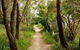 24 Hyam Road Hyams Beach - thumb 1