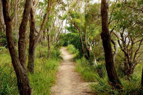 24 Hyam Road Hyams Beach - Accommodation Cairns 1