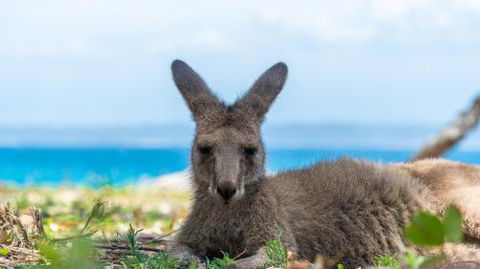 24 Hyam Road Hyams Beach - Accommodation Cairns 2