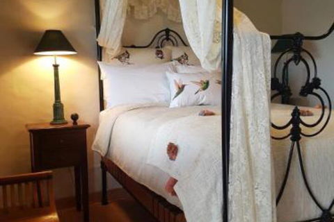 Blue Fattoria - Accommodation Cairns 1