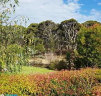 The Old Picnic Ground at Ironstone B  B - Accommodation Cairns