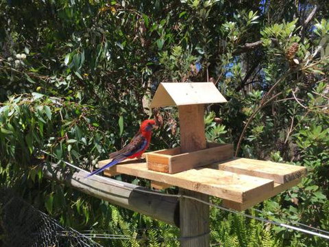 Rosella Cottage Waratah Bay - Accommodation Cairns 1