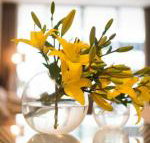 KUI Manhattan Apartments - Accommodation Cairns