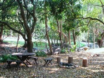 Mt Warning Holiday Park - Accommodation Cairns 2