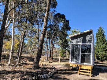Big Tiny The Whispers - Accommodation Cairns 2