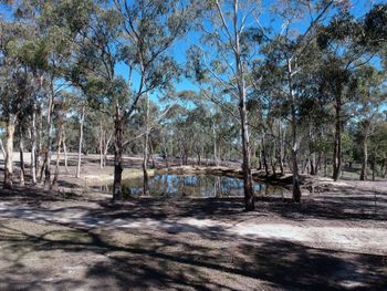 Big Tiny The Whispers - Accommodation Cairns 3