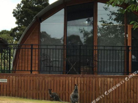 Bruny Island Accommodation 43 Degrees Beachside Studio Spa Apartments (1) - Accommodation Cairns 1