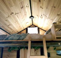 Big Tiny Dale View Tiny House - Accommodation Cairns
