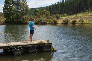 Nannup Valley Chalets - Accommodation Cairns 1