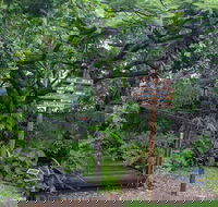 Woolshed Eco Lodge - Accommodation Cairns