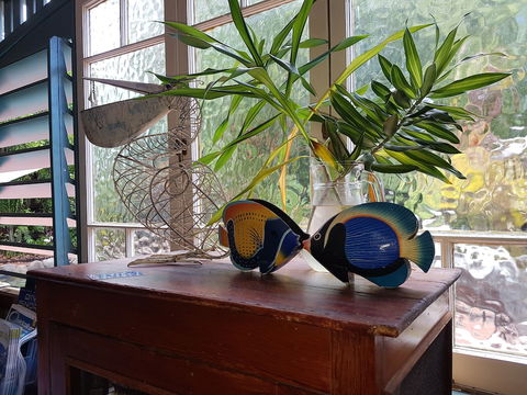 Lilybank Guest House - Accommodation Cairns 3