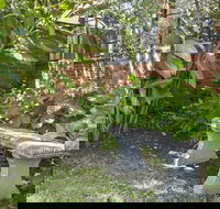 Boutique Stays - Frankie's Place - Accommodation Cairns