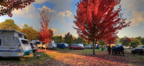 Beechworth Lake Sambell Caravan Park - Accommodation Cairns 3