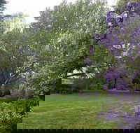 Petersons Armidale Winery  Guesthouse - Accommodation Cairns