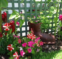 Albany Bayview Lodge YHA - Accommodation Cairns