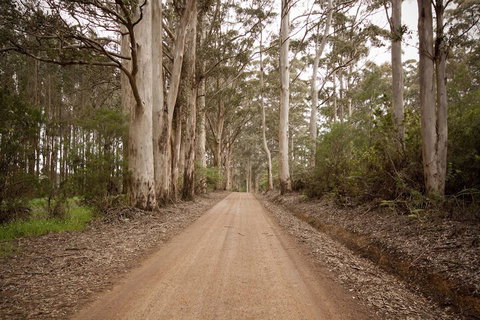 Sensational Heights Bed & Breakfast - Accommodation Cairns 1
