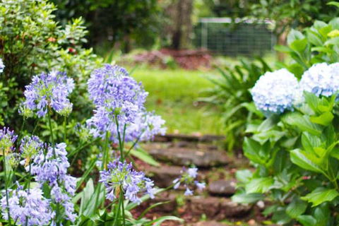 Mt Glorious Getaways - Accommodation Cairns 4