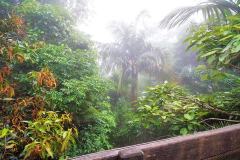 Mt Glorious Getaways - Accommodation Cairns 7
