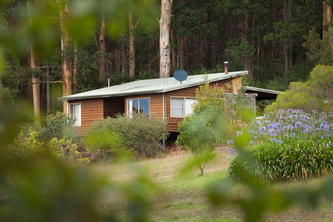 Bombina Cottages - Accommodation Cairns 2