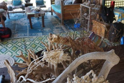 Bremer Island Banubanu Beach Retreat - Accommodation Cairns 5