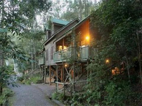 Barrington Wilderness Cedar Lodge Accommodation - Accommodation Cairns 2
