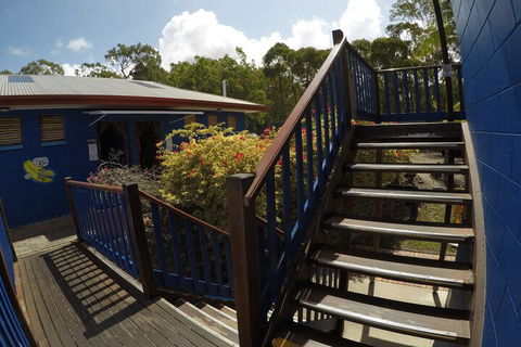 Cool Bananas Backpackers - Accommodation Cairns 5