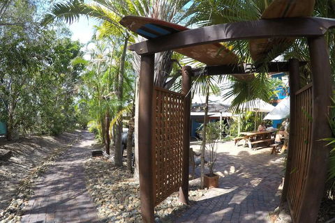 Cool Bananas Backpackers - Accommodation Cairns 6