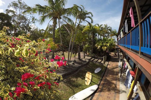 Cool Bananas Backpackers - Accommodation Cairns 2