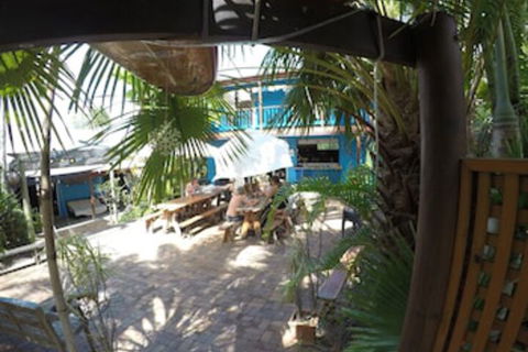 Cool Bananas Backpackers - Accommodation Cairns 0