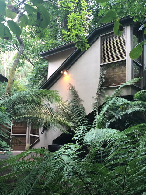 Linden Gardens Rainforest Retreat - Accommodation Cairns 2