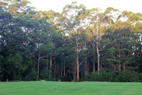Tinglewood Cabins - Accommodation Cairns 0