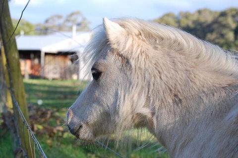 Billa Billa Farm Cottages - Accommodation Cairns 3