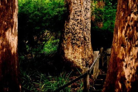 Billa Billa Farm Cottages - Accommodation Cairns 2