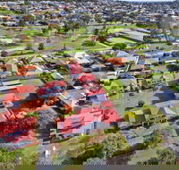 Pelicans Albany - Accommodation Cairns