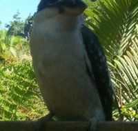 Tropic Oasis Holiday Villas - Accommodation Cairns