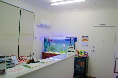 Buckaroo Motor Inn - Accommodation Cairns 4