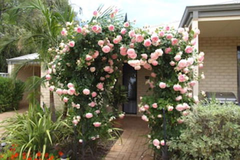 Baudins Of Busselton B & B - Accommodation Cairns 3