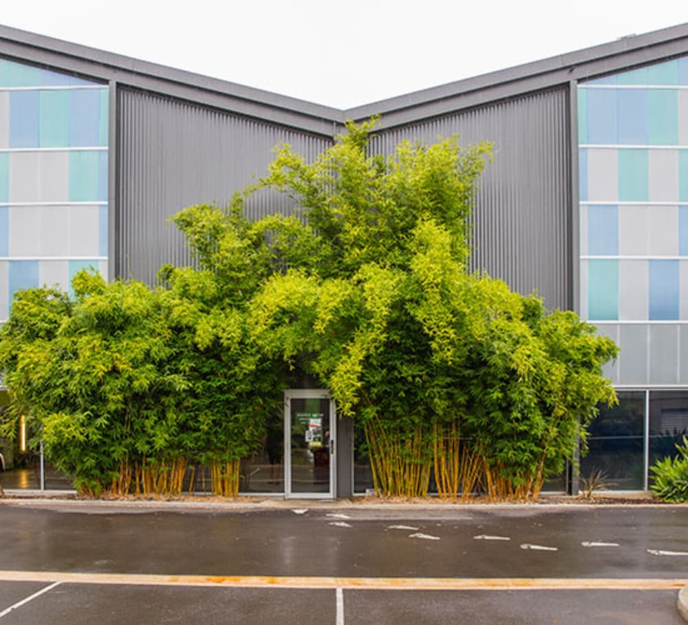 Accommodation Cairns