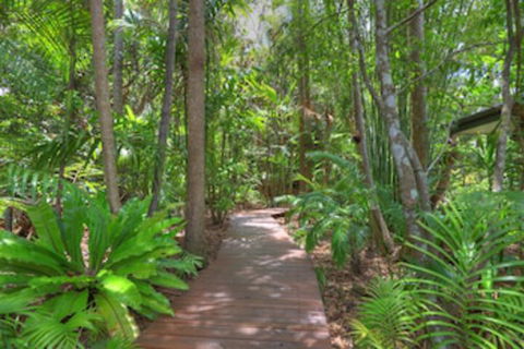 Montville Grove - Accommodation Cairns 0