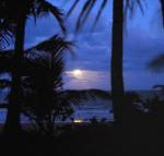 Sejala Beach Huts - Accommodation Cairns
