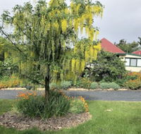 Hamlet Downs Country Accommodation - Accommodation Cairns