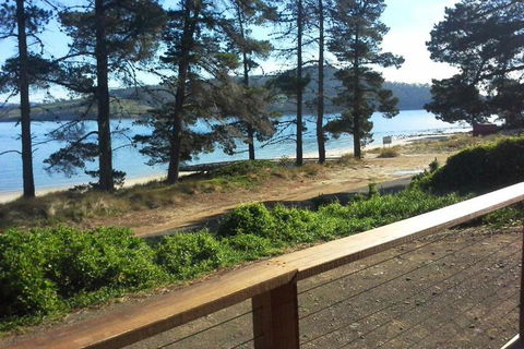 Bruny Island Beachside Accommodation - Accommodation Cairns 1