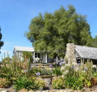 Sassafras Springs - Accommodation Cairns