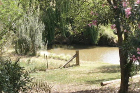 Kellys Motel Oakey - Accommodation Cairns 5