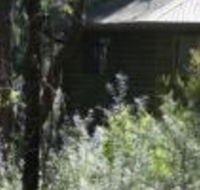 Twin Falls Bush Cottages - Accommodation Cairns
