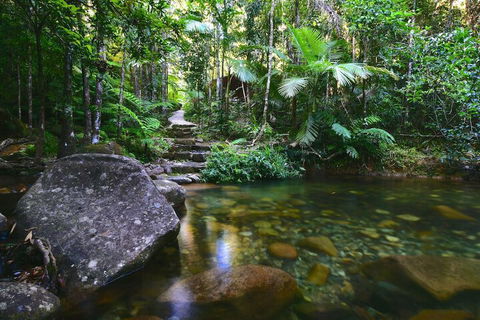 Daintree Cascades - Accommodation Cairns 2