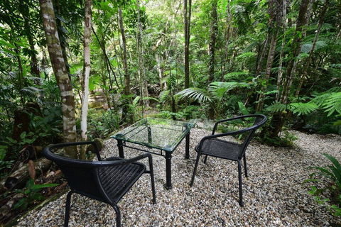 Daintree Cascades - Accommodation Cairns 4