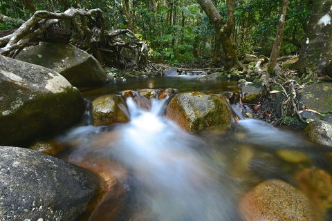 Daintree Cascades - Accommodation Cairns 1