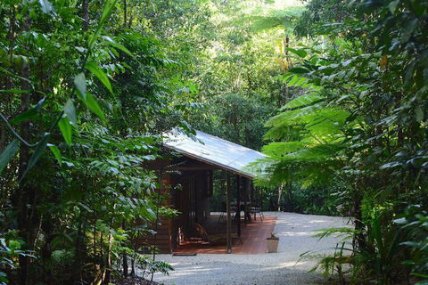 Daintree Cascades - Accommodation Cairns 3